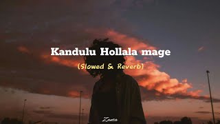 kandulu Hollala Mage මනෝපාරකට Slowed amp Reverb Version  💗🎧 Zantamusic1 [upl. by Mcallister]