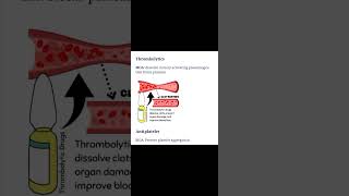 Cardiovascular Meds  Thrombolytic and Antiplatelets [upl. by Eiramanna]