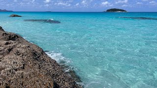 Discover the Most Beautiful White Beaches in the Whitsundays Australia 🏖️✨ shorts [upl. by Nasaj]