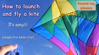 How to launch and fly a kite  a guide for new kitefliers [upl. by Hoskinson71]