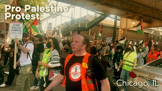 ProPalestine Protesters March In The Streets Of Chicago At DNC [upl. by Risay595]