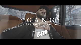 Vinz amp Stealth Hellbanianz “GANG” Type Beat  ProdBy BitaBeatz [upl. by Ivonne891]