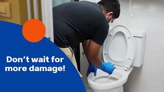 Stop Plumbing Disasters Fast Call Houston Plumbing Experts for SameDay Service [upl. by Eerak]