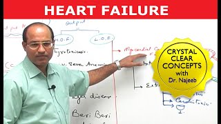 Heart Failure  Cardiac Pathology [upl. by Gavini]