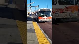 Bus Route 1 Arriving at 44 Street SE BRT Station calgary calgarytransit bus brt transit [upl. by Jeanie]