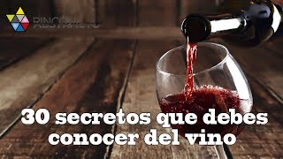 30 secretos que debes conocer del vino [upl. by Eneli999]