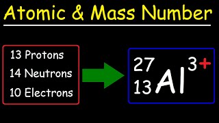 Atomic Number Mass Number and Net Electric Charge [upl. by Nonaihr]