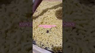 Marconi and paste making machine per hours 100 kg 7503108666ytshorts trending technology food [upl. by Cassy]