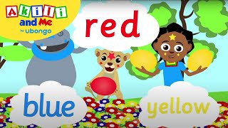 My Favorite Colour isRed Blue or Yellow  Learn New Words with Akili  African Cartoons [upl. by Aikaz]