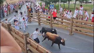 Cuarto Encierro Fiestas de Tudela 2024 [upl. by Ugo805]