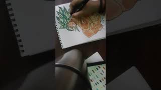 using alchol marker for first time best marker [upl. by Eisset57]