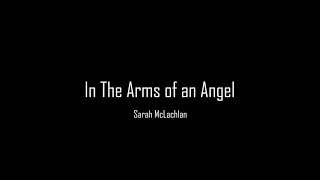 Lyric In the Arms of an Angel  Sarah McLachlan [upl. by Ahtekal824]