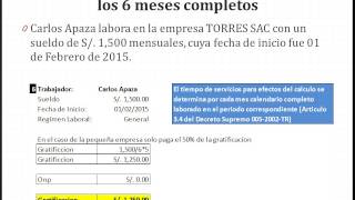 Ley 30334 – 10 Casos Prácticos de Gratificación [upl. by Yllitnahc]