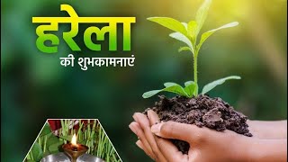 Plantation drive on the auspicious occasion of Harela  Jul’ 24 [upl. by Vite]