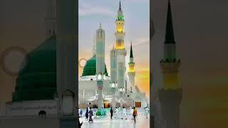 Beautiful al masjid Al hram umrah shorts viralvideo [upl. by Katha953]