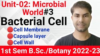 Bsc 1St year Botany Unit 02।।Microbial World।। Bacterial cell।।Cell Wall।Cell membrane।Capsules [upl. by Persis157]