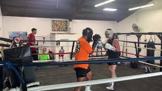 Tampa city boxing sparring Alan vs Kyle [upl. by Akenat]