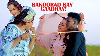 IDIL AYRUUSH VS ABDIWALI HASSAN  DHAANTO CUSUB  DIB U JOOGSO  BEST DAADIS  MUSIC VIDEO 2022 [upl. by Eioj]