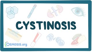 Cystinosis  causes symptoms diagnosis treatment pathology [upl. by Adnael]