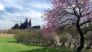 Lumbeho zahrady na Pražském hradě [upl. by Mchugh]