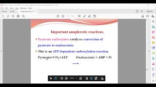 amphibolic nature of tca [upl. by Baudelaire]