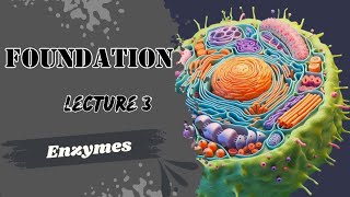 Lecture 3 enzymes Biochemistry foundation module Dr Adham Saleh [upl. by Ssirk]