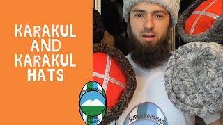 Karakul and Karakul hats Super Papahas [upl. by Lesya]