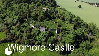 Wigmore Castle  Lost In The Trees [upl. by Ahtnams]