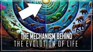 The INCREDIBLE Story of the Mechanism at the ORIGIN of the Evolution of Life  DOCUMENTARY 2024 [upl. by Aksel398]