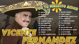 Vicente Fernández  A Pesar de Todo  20 Vicente Fernandez Exitos MixRancheras Y Corridos Mexicanas [upl. by Eibrad]