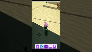 How to get Pebble Marker in Find The Markers Roblox [upl. by Eirtemed980]