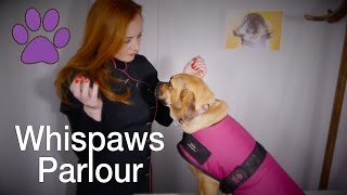 🐾Whispaws Parlour🐾 ASMR Dog Spa amp Massage  Fur Brushing amp Ear Examination [upl. by Eimmelc]