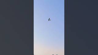 stunt flying rcplane rcairplane [upl. by Adnauqal]