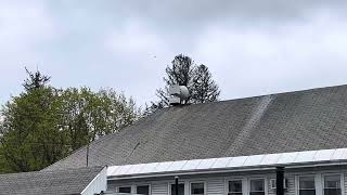 Remember This Video Federal Signal 2001 SRN At Delanson NY While I was waiting for NS 264 [upl. by Bena]