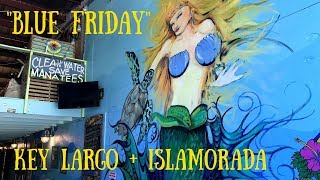 Key Largo amp Islamorada Adventure  Day Trip from Miami  South Florida Vlog [upl. by Ines]