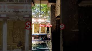 Malleswaram Shivan temple shortsvideo temple [upl. by Annahavas]