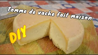 Faire du fromage maison au lait de vache  🐮 [upl. by Adniuqal]