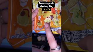 More Pompompurin Mystery Bags  sanrio pompompurin toys [upl. by Carrissa]