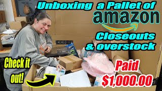 Unboxing a Pallet of Amazon Overstock and Shelf Pulls that I paid 1000 for [upl. by Saenihp]