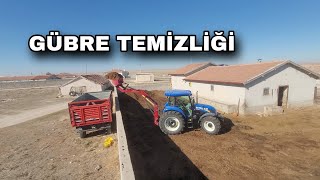 İNEKLERİN HAVLUSUNU TEMİZLEDİK İLK KÜSPE GELDİ KIŞ KAPI DA [upl. by Lennej]