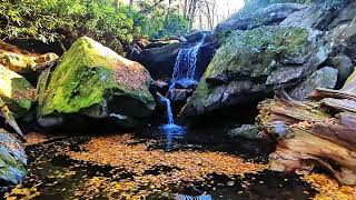 Cascadas en Tennessee [upl. by Hagood]