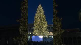 Accensione Albero di Natale 2023 in Piazza Duomo a Milano [upl. by Lobell]