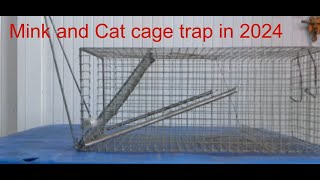 Mink Cat amp big Mouse cage trap 2024 [upl. by Haland]