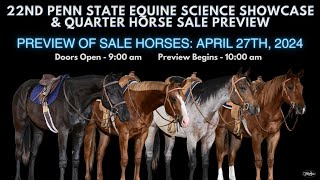 2024 Penn State Quarter Horse Sale Preview [upl. by Devona384]