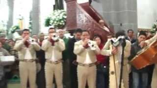 Mariachi Nuevo Tecalitlan Cordero de Dios [upl. by Darlleen]