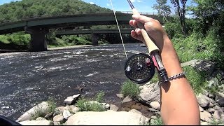 W4F  Fly Fishing quotBeaverkill Riverquot  Roscoe NY [upl. by Anilrac]