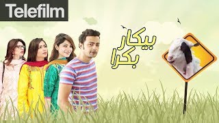 Bekar Bakra  Eid ul Azha Special Telefilm  Neelum Muneer  Hina Dilpazeer  Ahmed Hasan  Urdu1 TV [upl. by Latini]