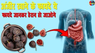 Anjeer khane ke fayde  अंजीर खाने के फायदे ये फायदे जानकर हेरान हो जाओगे  Digestive system health [upl. by Anikal769]