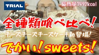 【スイーツ大食い】【食べ比べ】チーズチーズチーズケーキ新登場！したからトライアルのデカ盛り全種類のスイーツを食べる事にしました。 [upl. by Addia]