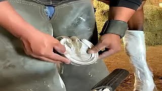 Horse Hoof Care Secrets Every Rider Needs to Know [upl. by Airdnaxila]